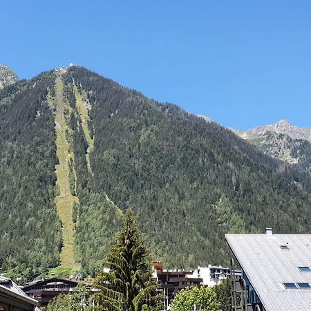 Nice 32M With Balcony View On The Mountain Chamonix ภายนอก รูปภาพ